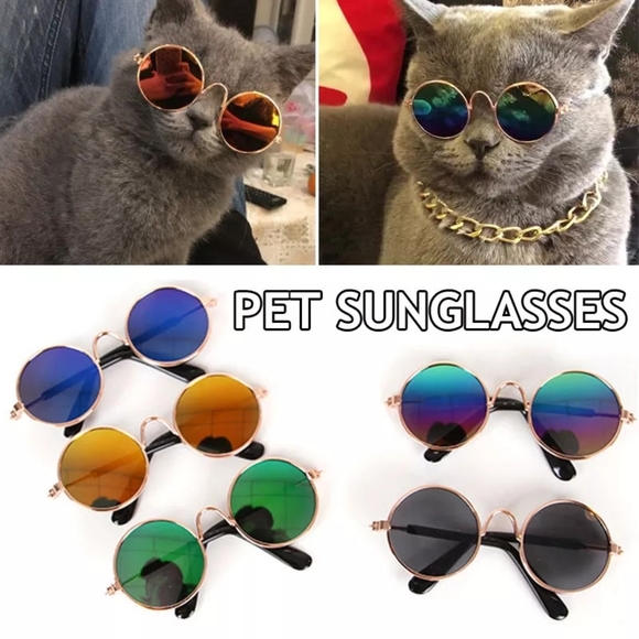 5/25 Pet Sunglasses Cat (M) size or small Dog (L) size - Picture 9 of 16